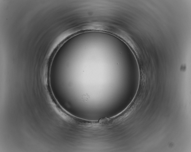 X0000097651131200802291444