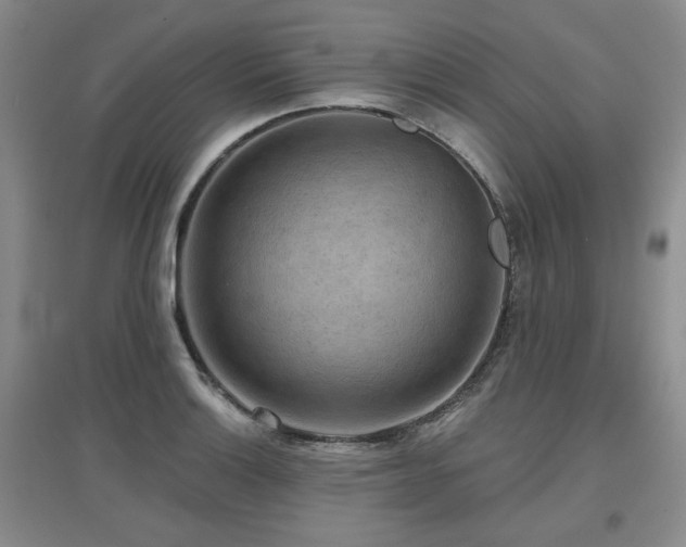 X0000097651132200802291444