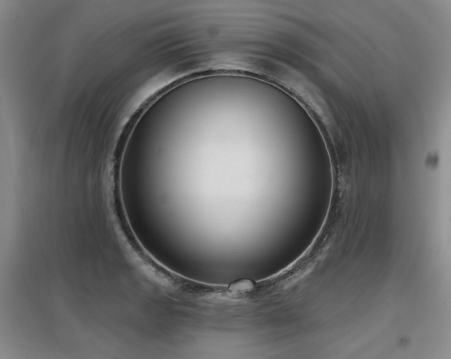 X0000097651133200802291444