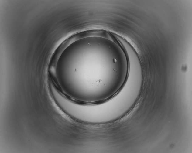 X0000097651134200802291444