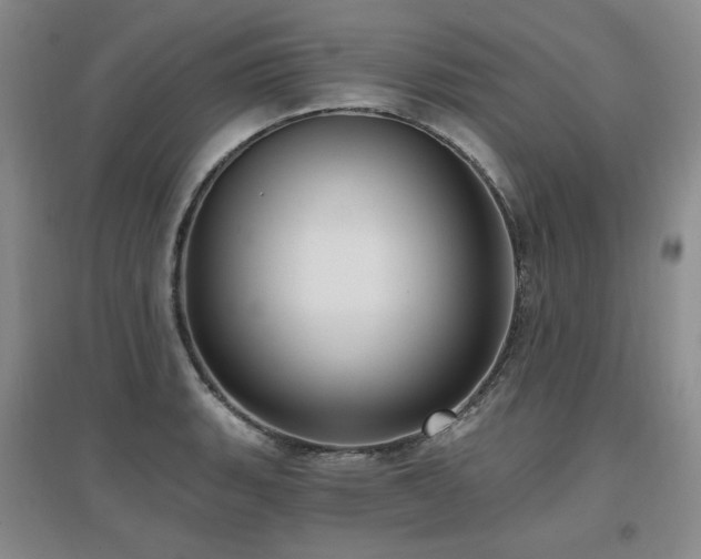 X0000097651135200802291444
