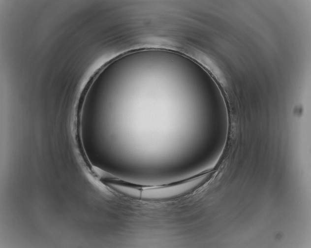 X0000097651136200802291444