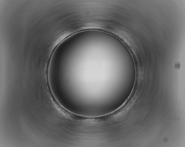 X0000097651137200802291444