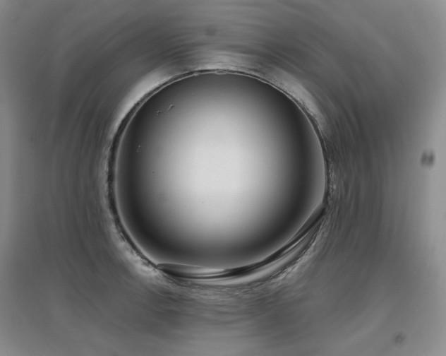 X0000097651138200802291444