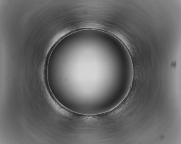 X0000097651139200802291444
