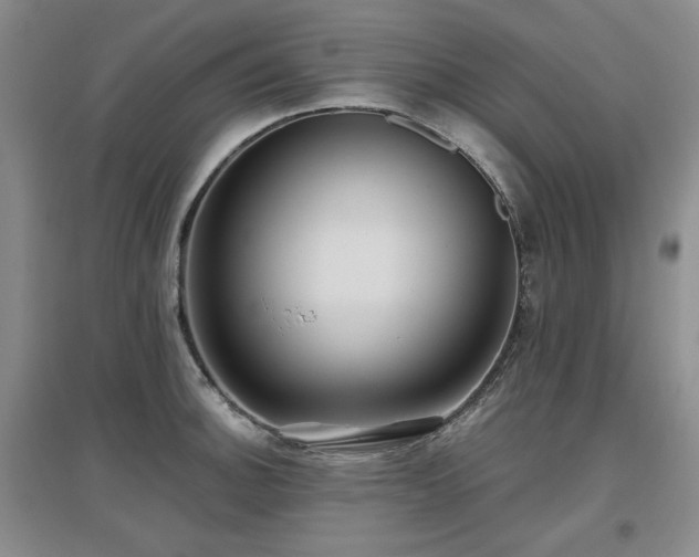 X0000097651140200802291444