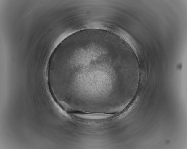 X0000097651141200802291444