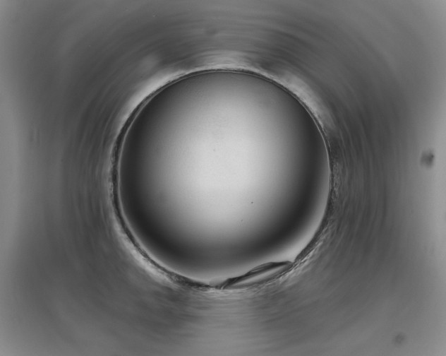 X0000097651142200802291444