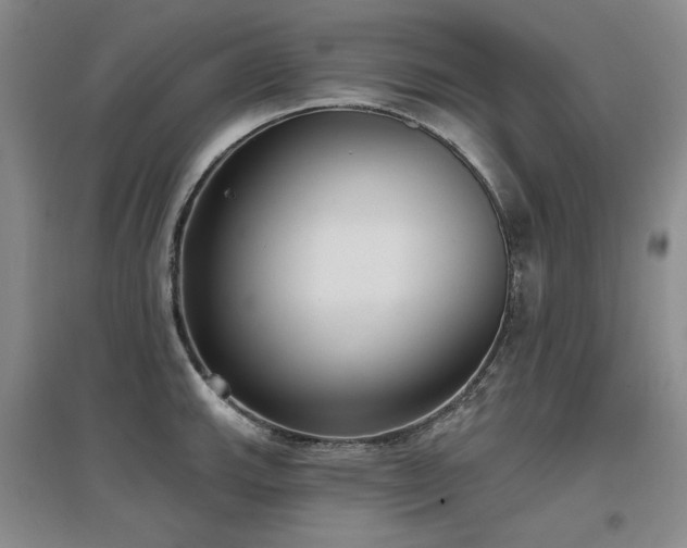 X0000097651143200802291444
