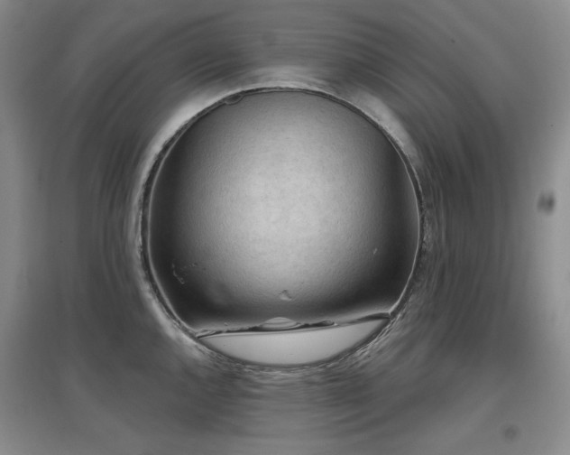 X0000097651144200802291444