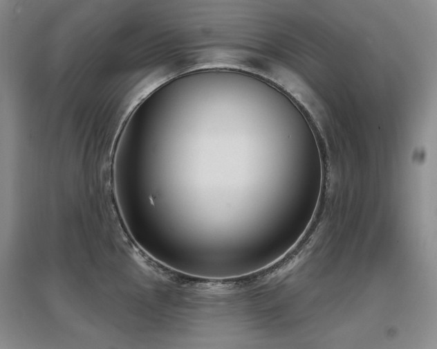 X0000097651145200802291444