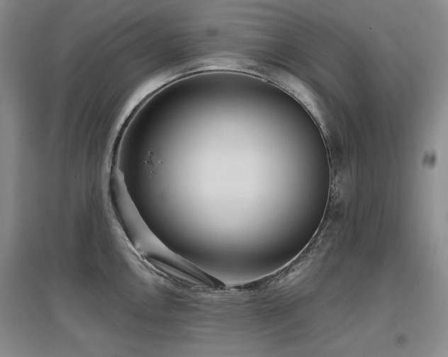 X0000097651146200802291444