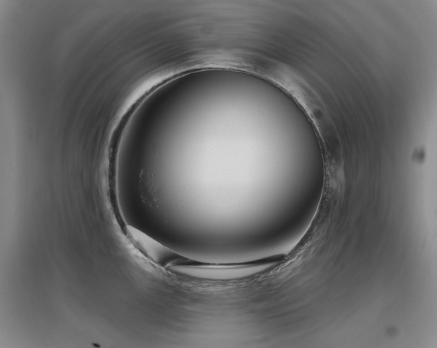 X0000097651147200802291444