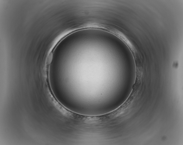 X0000097651148200802291444