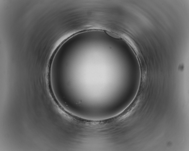 X0000097651149200802291444