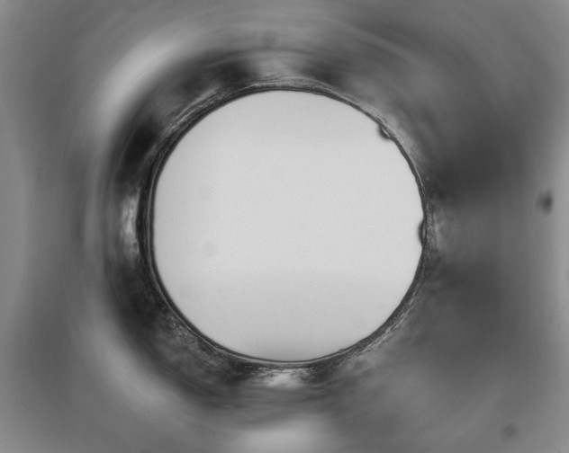 X0000097651150200802291444