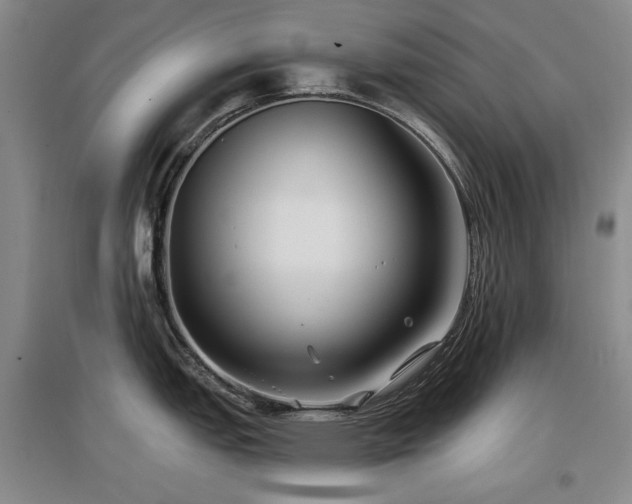 X0000097651151200802291444