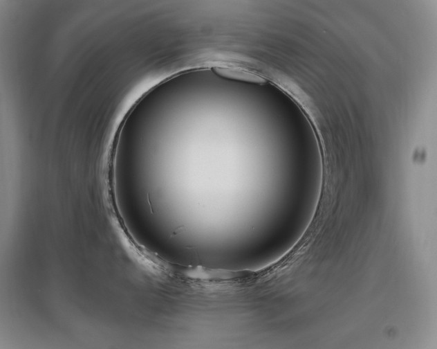 X0000097651152200802291444