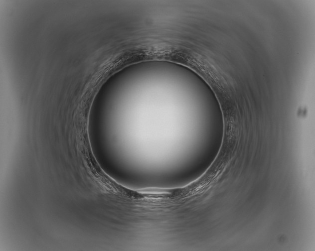 X0000097651153200802291443