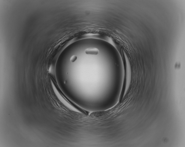 X0000097651154200802291443