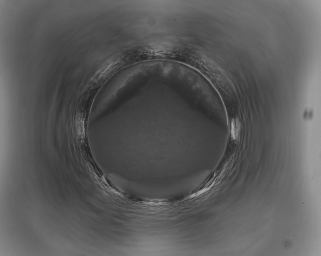 X0000097651155200802291443