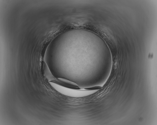 X0000097651156200802291443