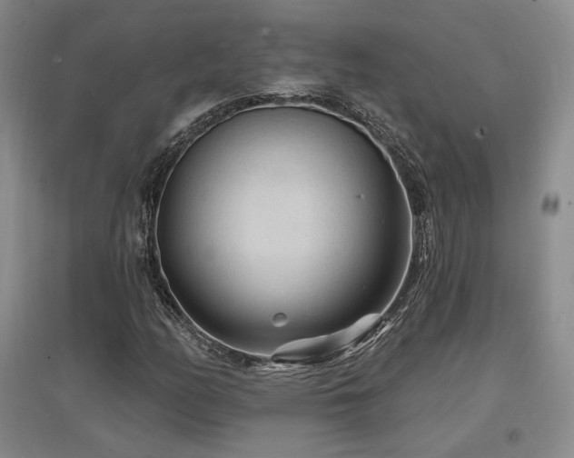 X0000097651158200802291443