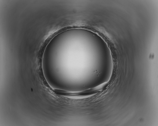 X0000097651160200802291443