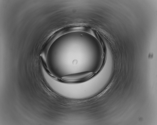 X0000097651161200802291443