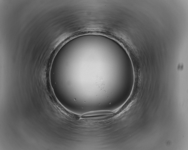 X0000097651162200802291443