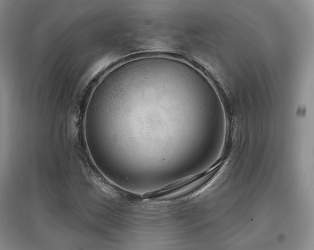 X0000097651163200802291443