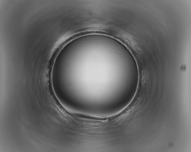 X0000097651164200802291443
