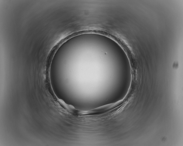 X0000097651165200802291443