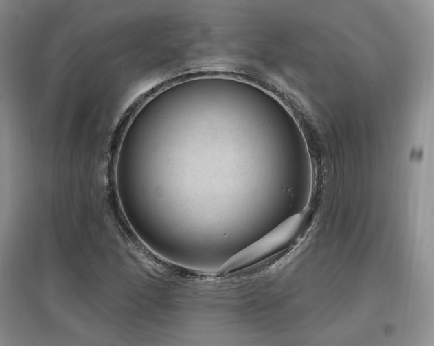 X0000097651166200802291443