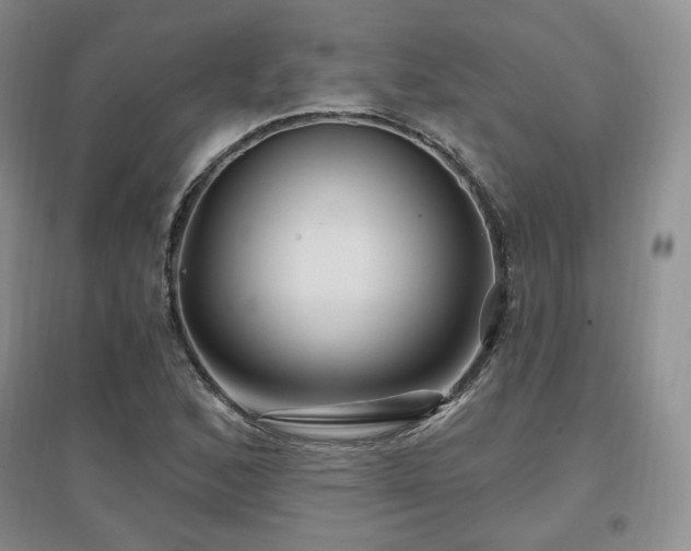 X0000097651168200802291443