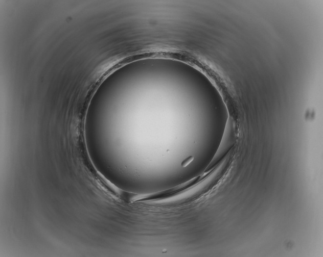 X0000097651169200802291443