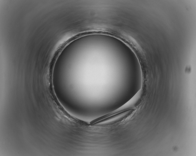 X0000097651172200802291443