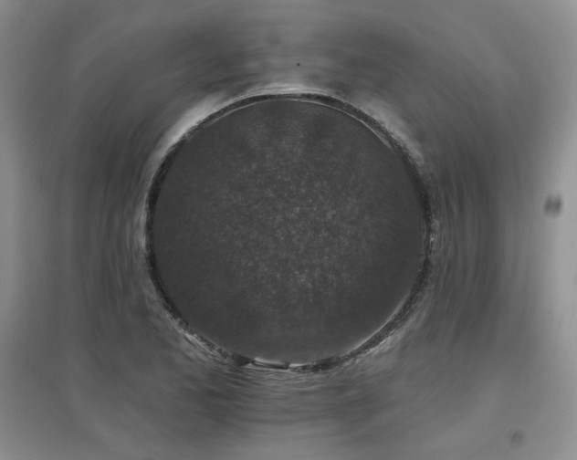 X0000097651173200802291443
