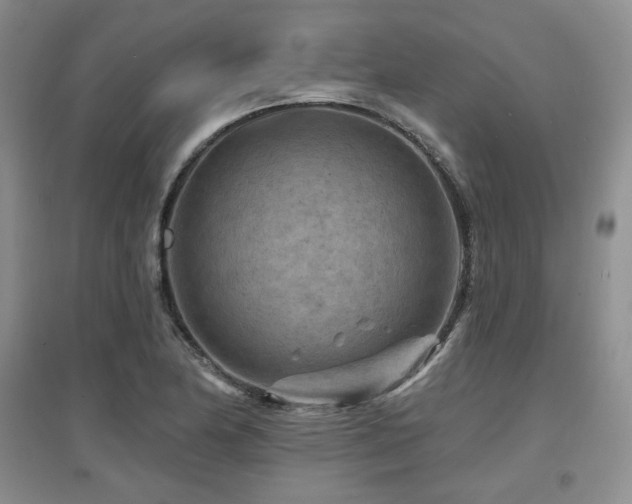 X0000097651174200802291443