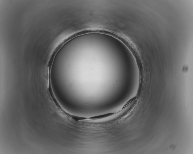 X0000097651175200802291443