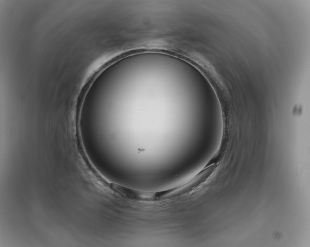 X0000097651176200802291443