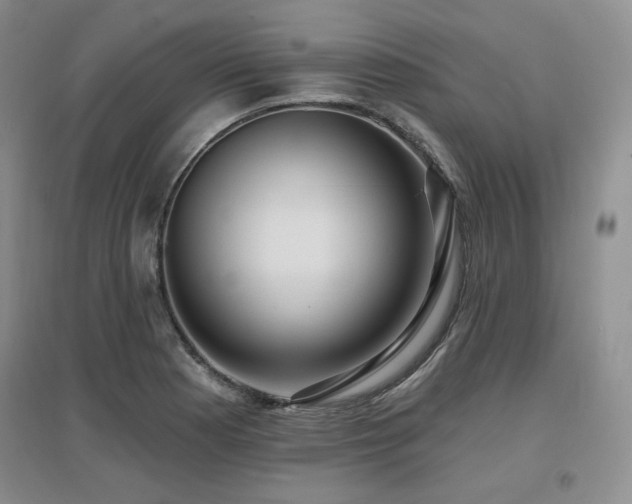 X0000097651177200802291443