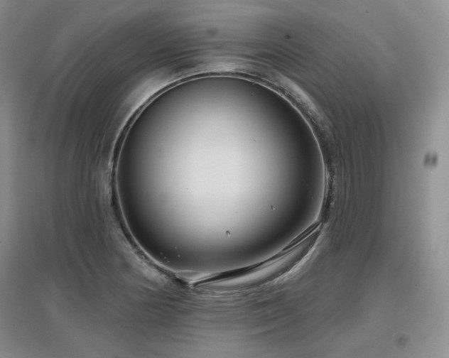 X0000097651178200802291443