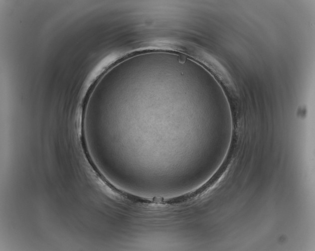 X0000097651180200802291443