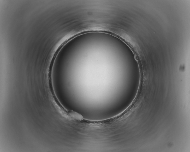 X0000097651181200802291443