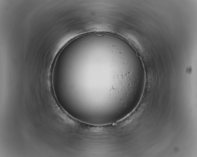 X0000097651182200802291443