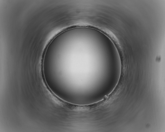 X0000097651183200802291443