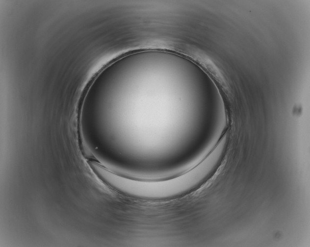 X0000097651184200802291443