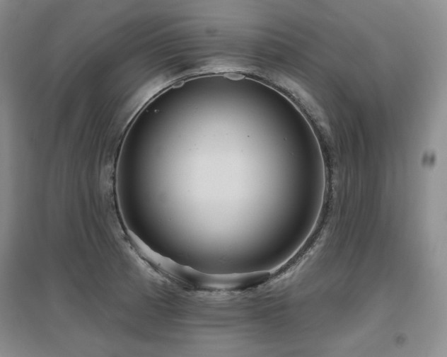 X0000097651185200802291443