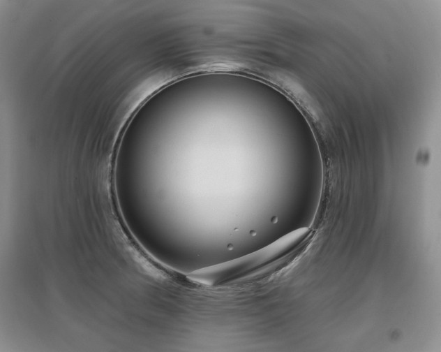X0000097651186200802291443